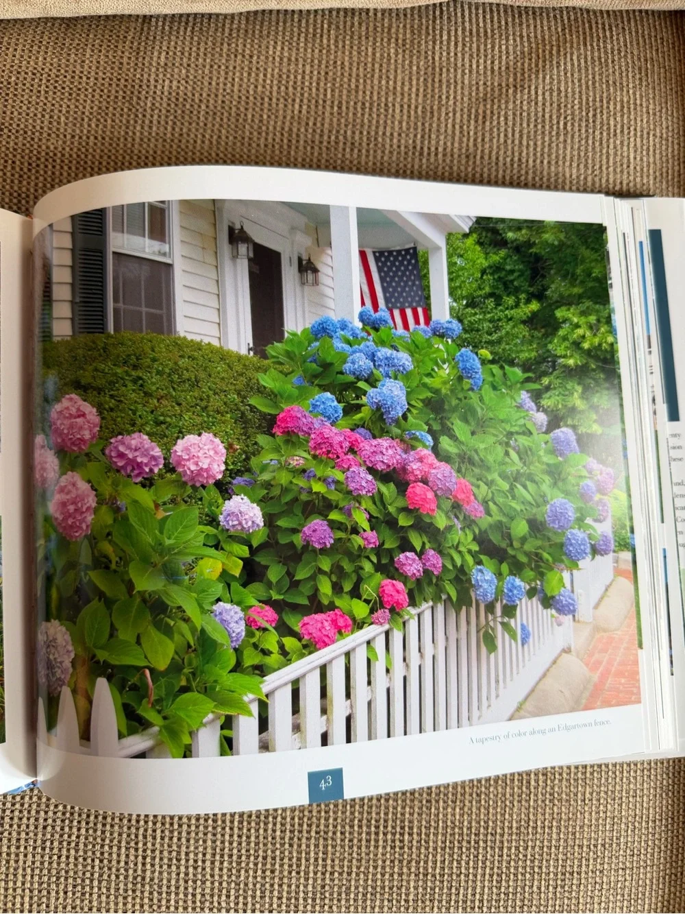 Hydrangeas Cape Cod Book by Joan Harrison